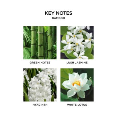 Bamboo Luxury 4-Wick Candle