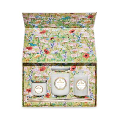 Wildflowers Superbloom Gift Set