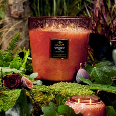 Forbidden Fig Five Wick Hearth Candle, 123 oz.