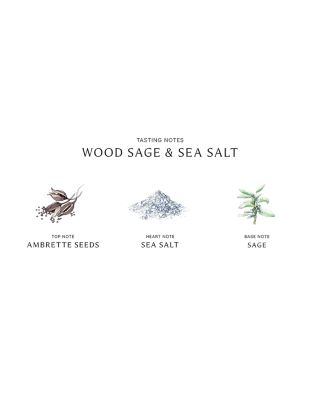 Wood Sage &amp; Sea Salt Body &amp; Hand Wash 3.4 oz.