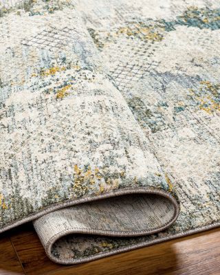 Dresden DRE-2303 Area Rug, 2'7" x 4'