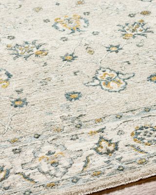 Dresden DRE-2311 Area Rug, 2' x 3'