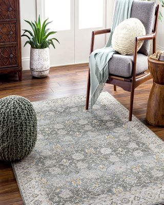 Dresden DRE-2312 Area Rug Collection