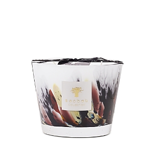 Baobab Collection Max 10 Rainforest Tanjung Candle