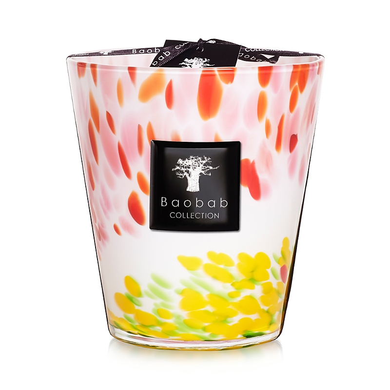Baobab Collection Max 16 Eden Garden Scented Candle
