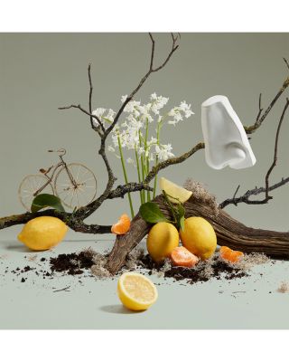 Quercus Eau de Cologne 3.4 oz.