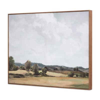 MOE'S HOME COLLECTION - Vast Country Framed Painting