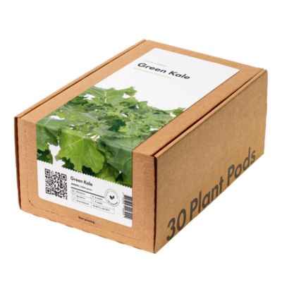 Click and Grow - 30 Pack Kale Pods