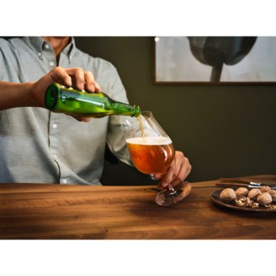 Craft Brew Hybrid Glass, Set of 2