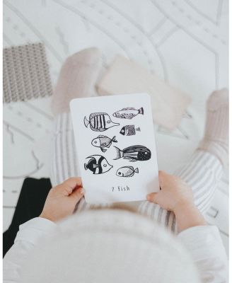 Counting Adventure Bundle - Ages 2+