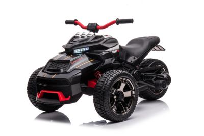 3 Wheel 24V 2-Seater Motorcycle Kids Ride on