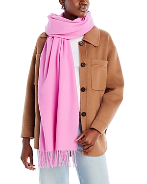 Rag & Bone Women's Addison Wool Scarf In Bubble Pink
