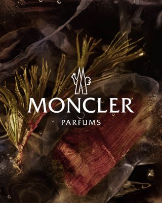 Moncler Le Cèdre Bleu Scented Candle 7.1 oz. | Bloomingdale's