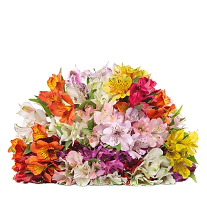 Bloomsybox Alstroemeria Bouquet In Multi
