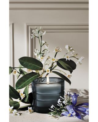 Nymph&eacute;es Merveilles (Nymphaeum of Wonders) Refillable Scented Candle 9.5 oz.