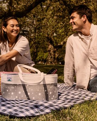 PIP12 Travel Monitor