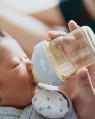 Essentials Starter Kit