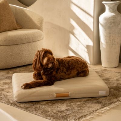 Brigette Romanek Luxury Dog Bed, Large