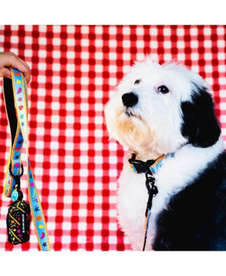 Dancing Fruits Dog Leash & Poop Bag Holder Set