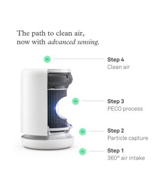 PECO-HEPA Tri-Powered Filter for Air Mini and Air Mini+