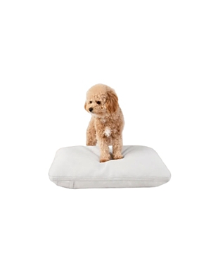 Diggs Small Pillo Dog Bed In Ash