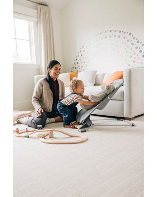 Mira 2 in 1 Bouncer and Seat