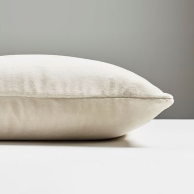 Torino Velvet Decorative Pillow, 22" x 22"