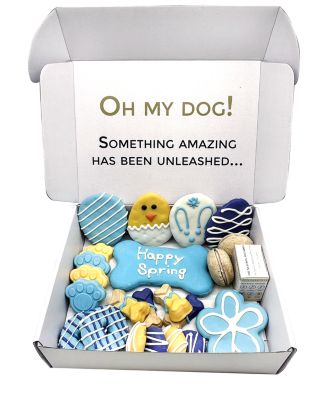 Easter-Spring Themed Dog Treats Gift Box