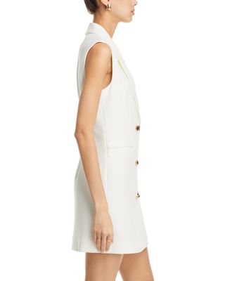 Whisper Sleeveless Tux Mini Dress