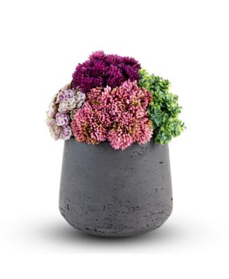 CocoBella - Neriah Mini Sedum Arrangement