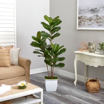 5.5ft. Fiddle Leaf Artificial Tree in White Metal Planter UV Resistant (Indoor/Outdoor)