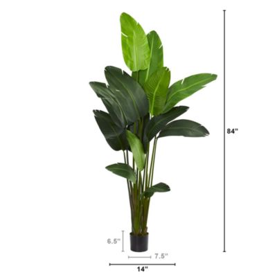 Artificial Traveler's Palm Tree