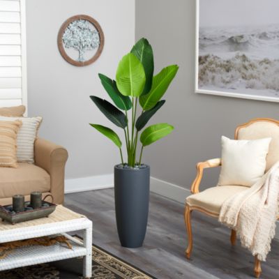  5.5ft. Travelers Palm Artificial Tree in Gray Planter