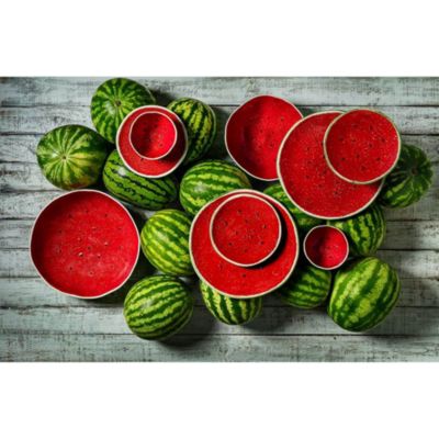 Watermelon Charger Plate