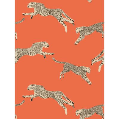 Leaping Cheetah Wallcovering