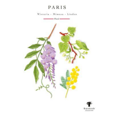 My First Baobab Candle &amp; Diffuser Gift Box – Paris