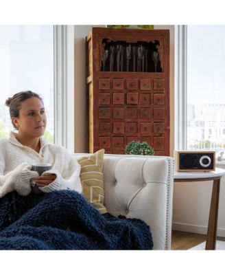 Model One Bluetooth AM/FM Radio & Speaker