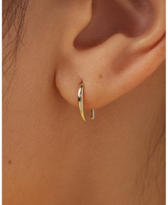 10K Gold Hook Earrings