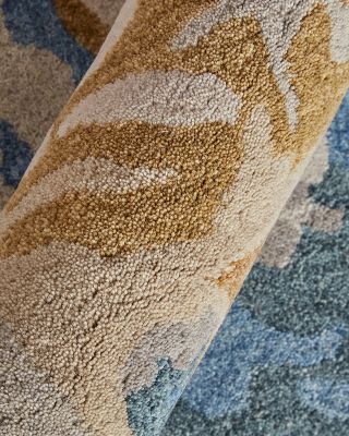 Everley EVE8645F Area Rug, 5' x 8'