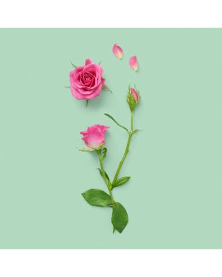 The Alchemist's Garden A Forgotten Rose Perfumed Oil 0.67 oz.