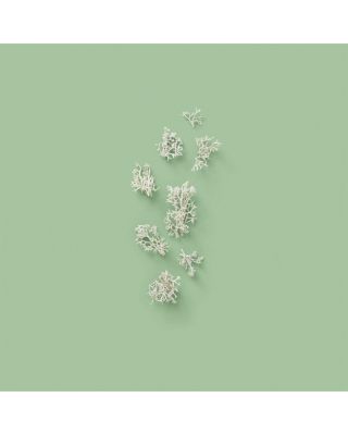 The Alchemist's Garden 1921 Eau de Parfum 3.3 oz.