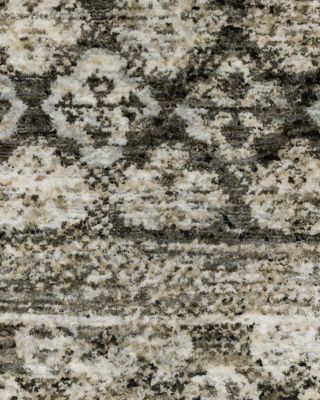 Chamberlain CH02D Area Rug, 3'3" x 5'