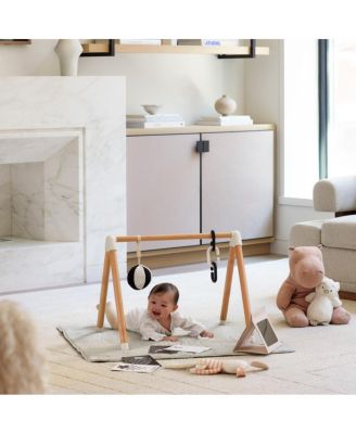 The Play Gym - Age 0-24 Months
