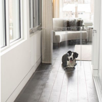 Wall Mounted Clear Pet Gate Zig Zag , 4 Panel