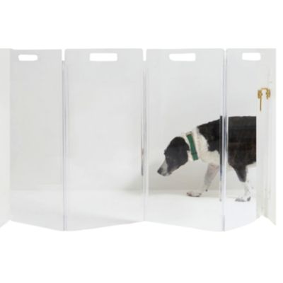 Wall Mounted Clear Pet Gate Zig Zag , 4 Panel