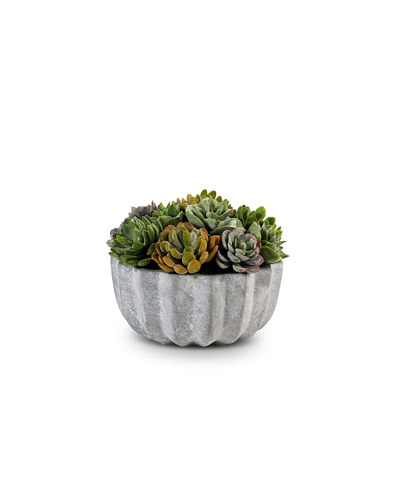 Madison Pleated Ceramic Succulent Arrangement