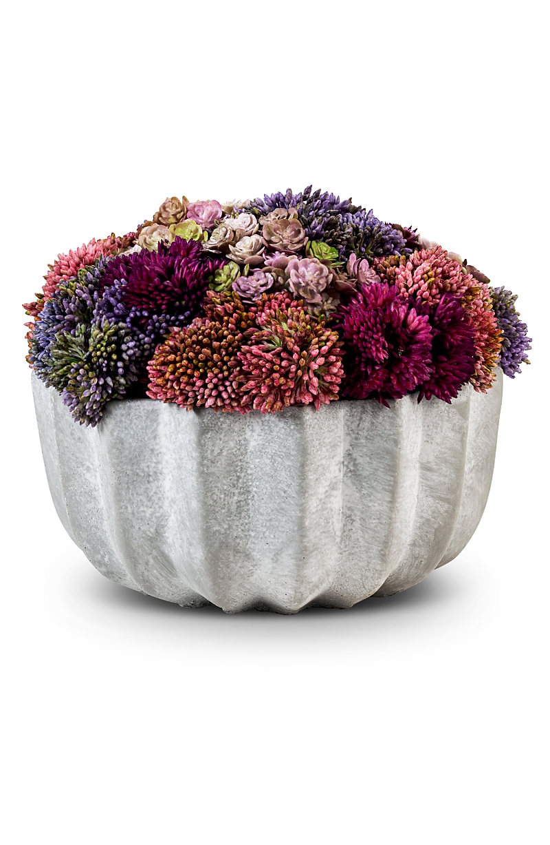 Allison Ceramic Sedum Arrangement