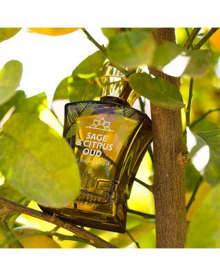 Sage &amp; Citrus Oud Eau de Parfum 2.5 oz.