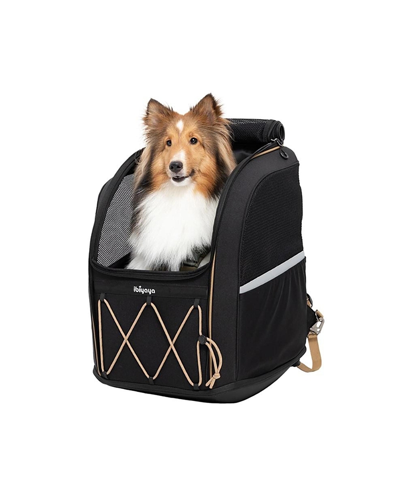 Ibiyaya Champion Large Backpack Dog Carrier