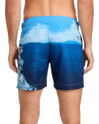 Bulldog Hulton Getty Photo Print Regular Fit 6" Swim Trunks